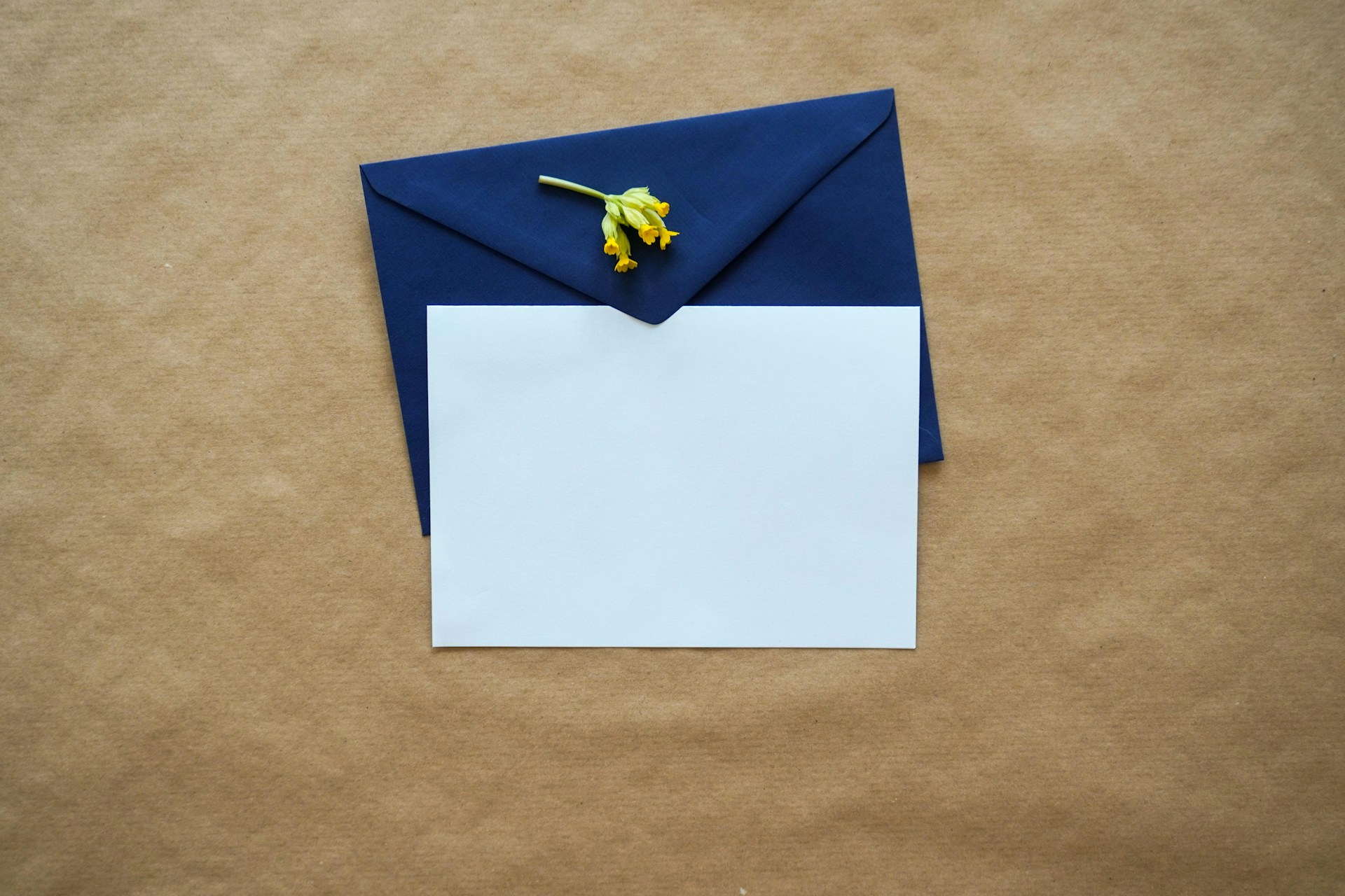 What Are the Advantages of B2B Printing? Insights from Mail Processing Associates